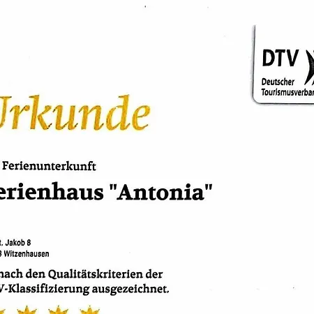 Antonia Comfortable *