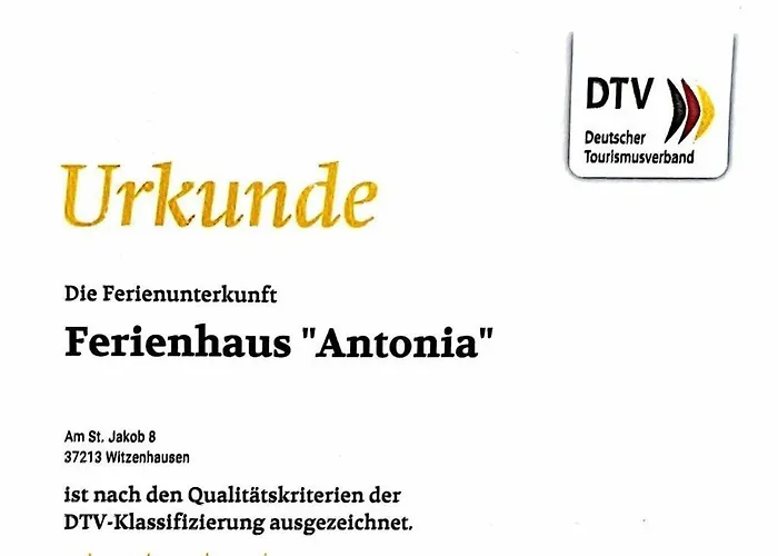 Antonia Comfortable *